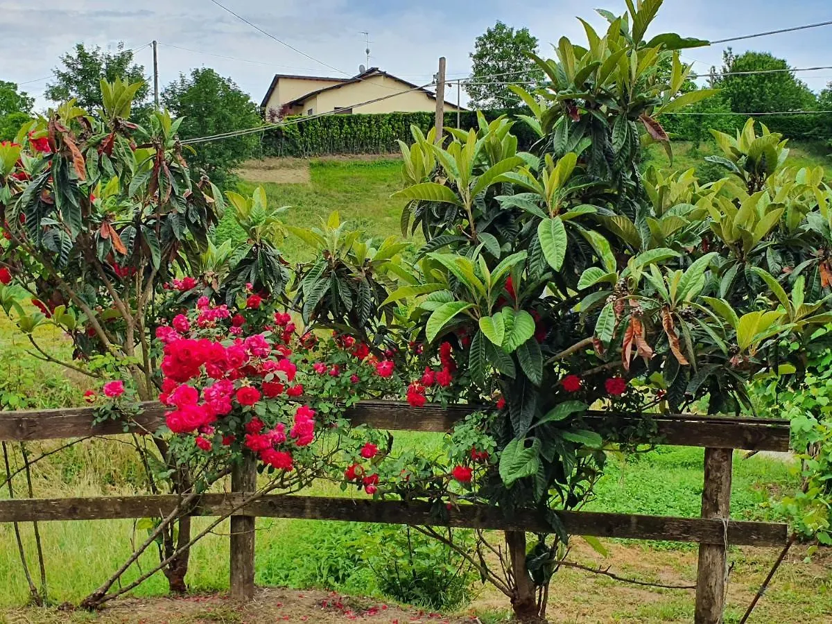 Giardino Dei Fiori Apartment Castelnuovo di Garfagnana