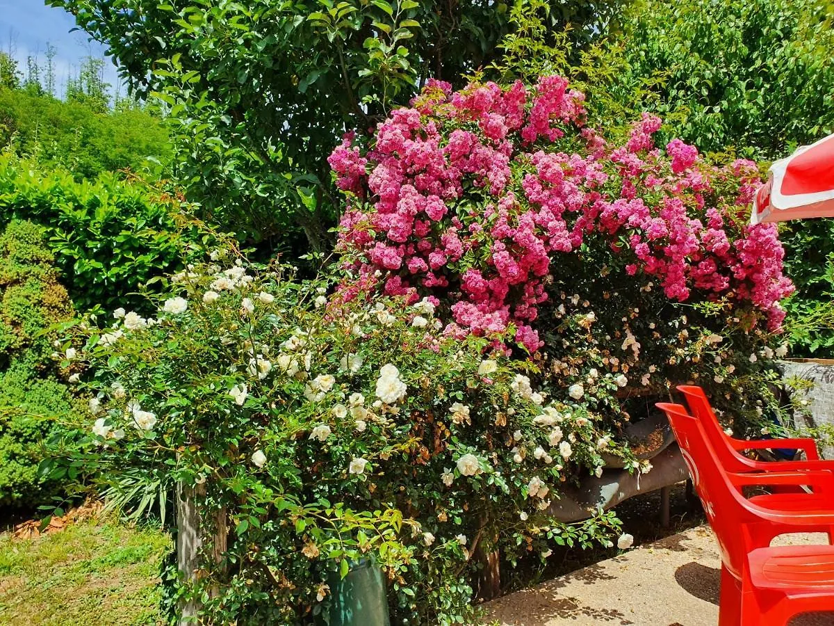 Giardino Dei Fiori Apartment Castelnuovo di Garfagnana
