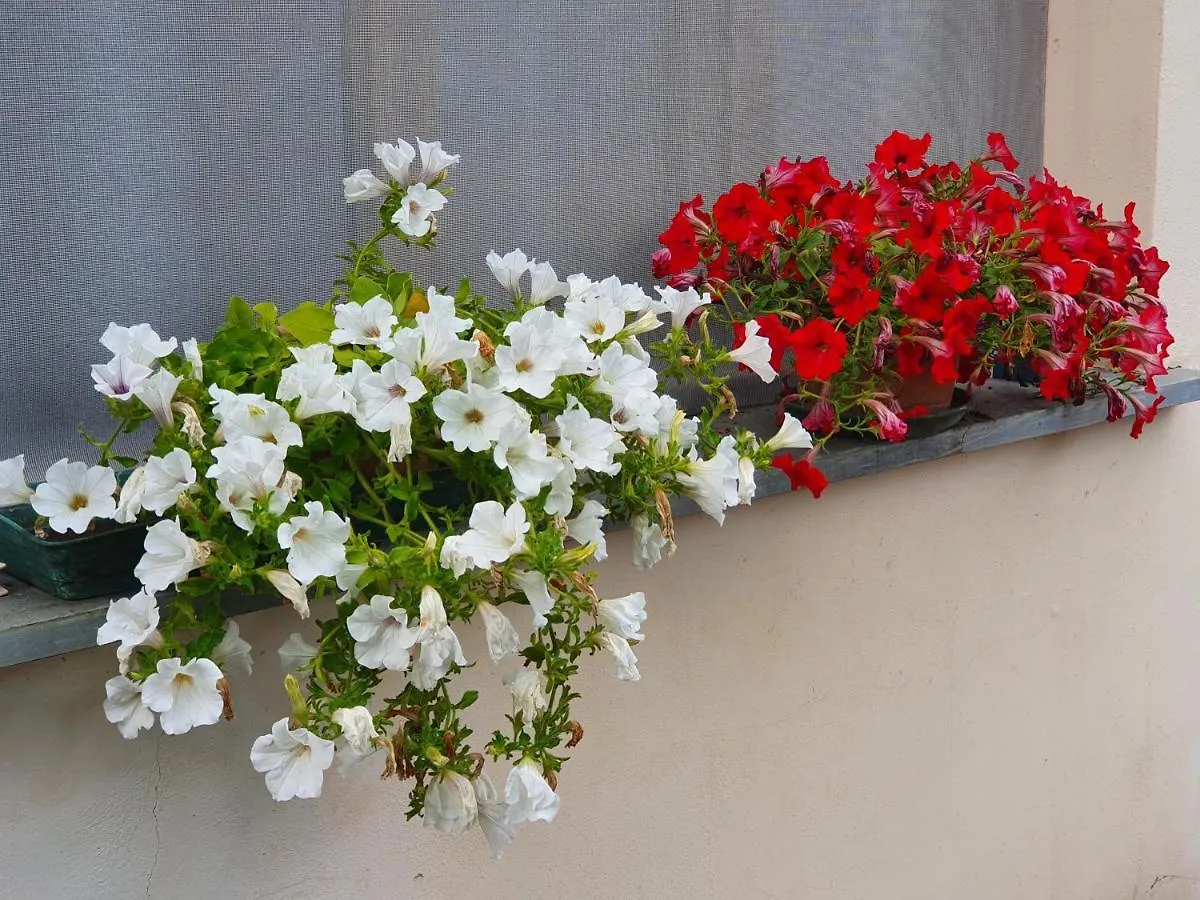 Giardino Dei Fiori Apartment Castelnuovo di Garfagnana 0*,