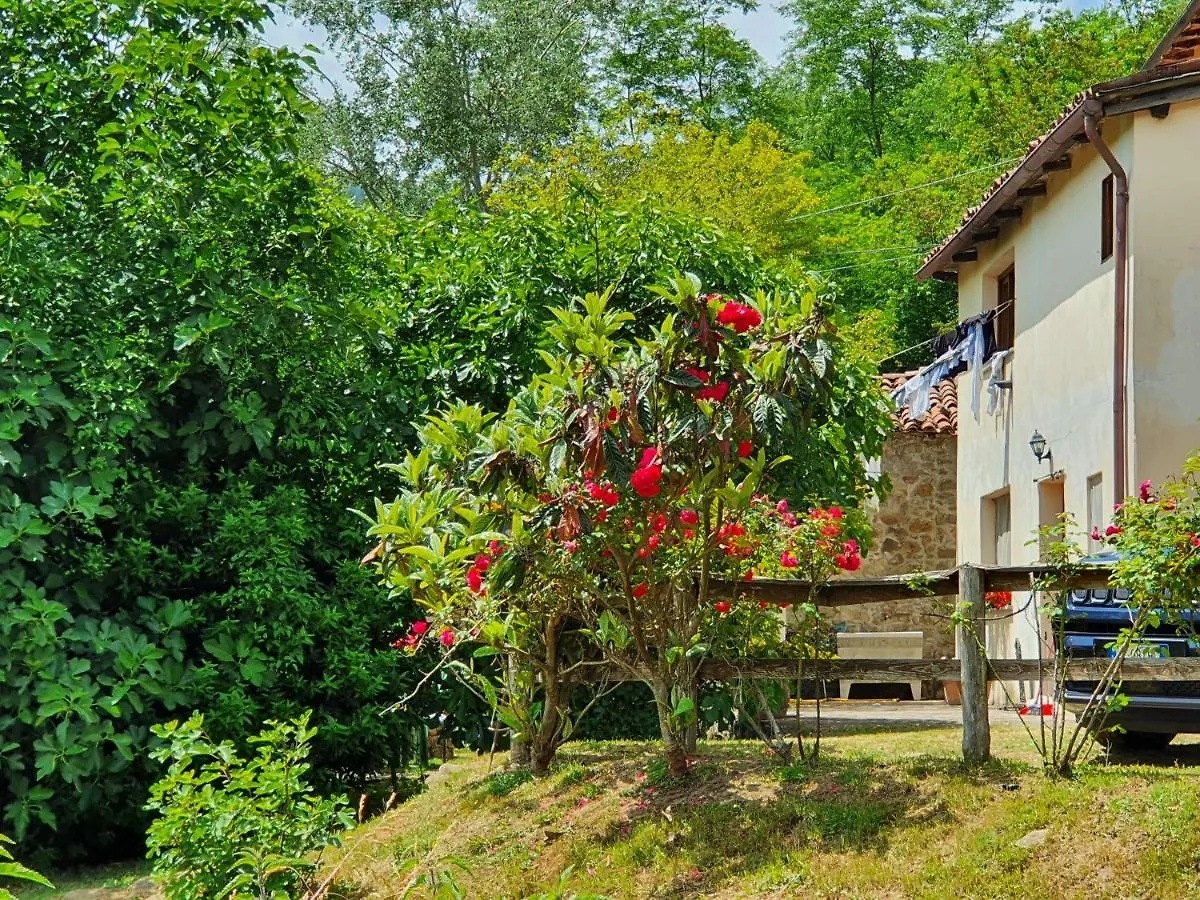 Giardino Dei Fiori Apartment Castelnuovo di Garfagnana