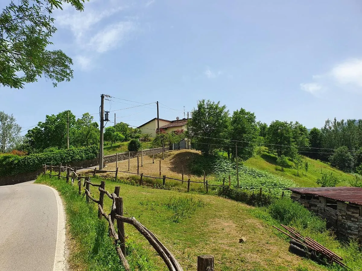 Giardino Dei Fiori Apartment Castelnuovo di Garfagnana