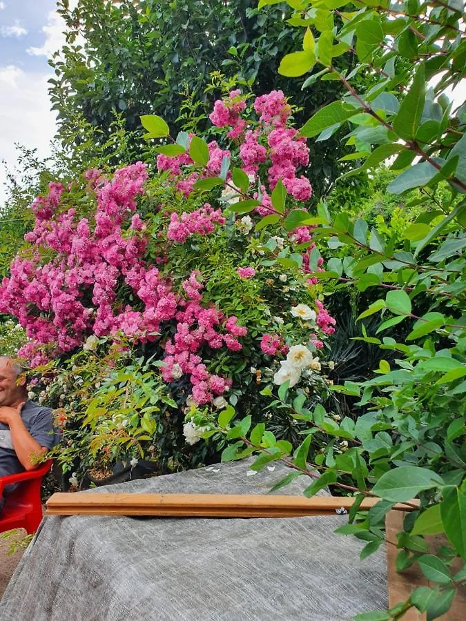 Giardino Dei Fiori Apartment Castelnuovo di Garfagnana Italy