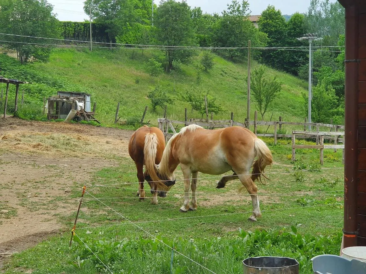 Giardino Dei Fiori Apartment Castelnuovo di Garfagnana
