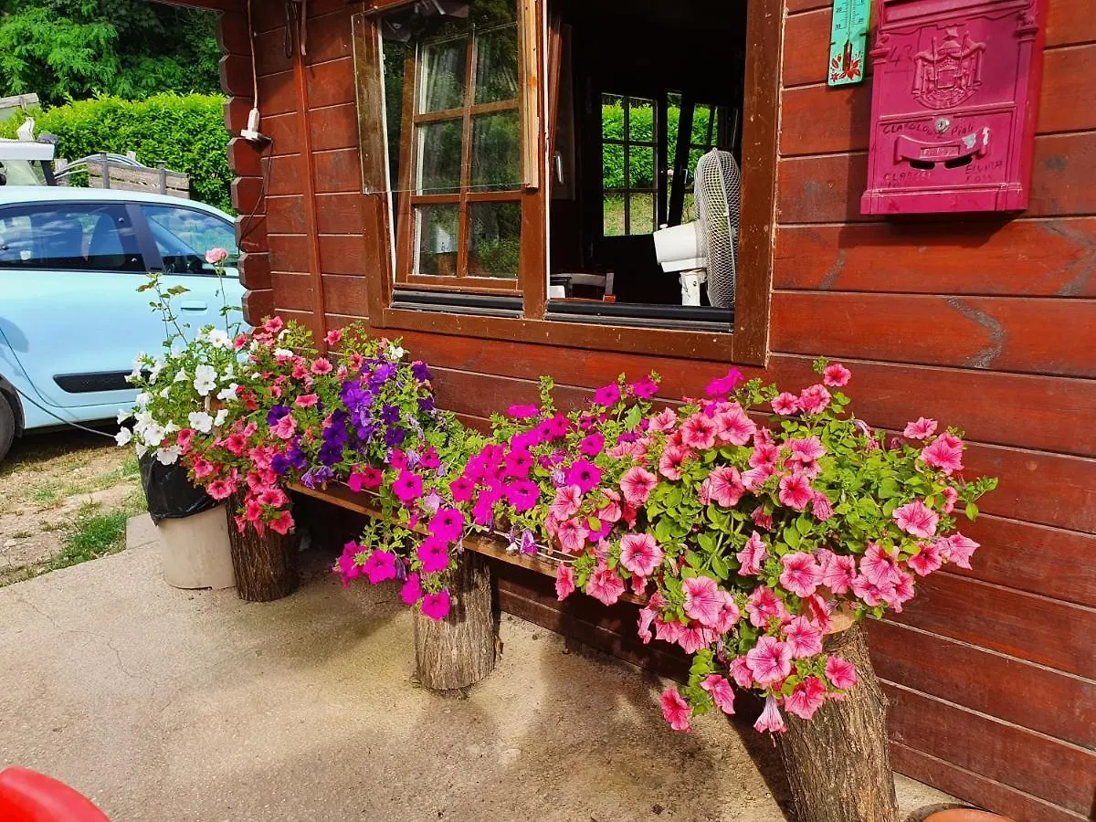 Giardino Dei Fiori Apartment Castelnuovo di Garfagnana