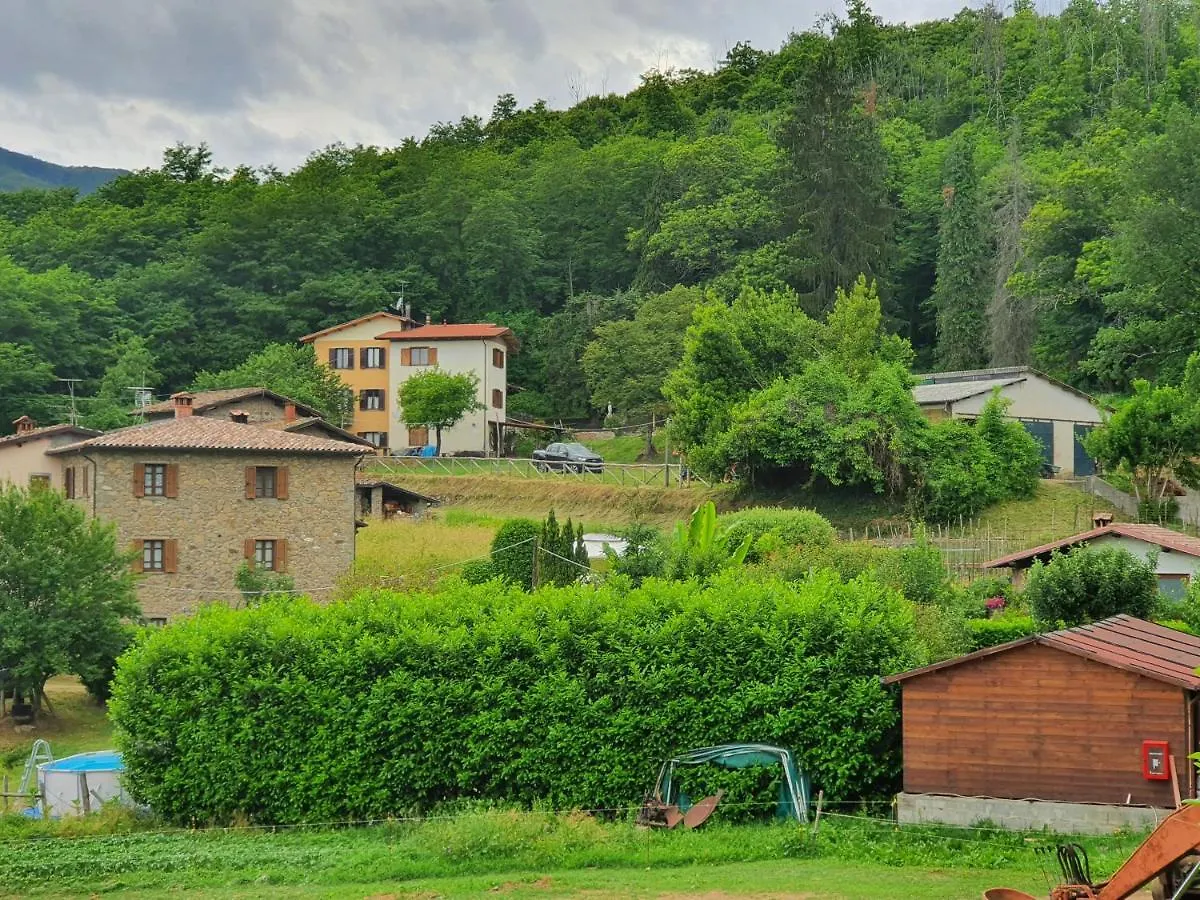 Giardino Dei Fiori Apartment Castelnuovo di Garfagnana